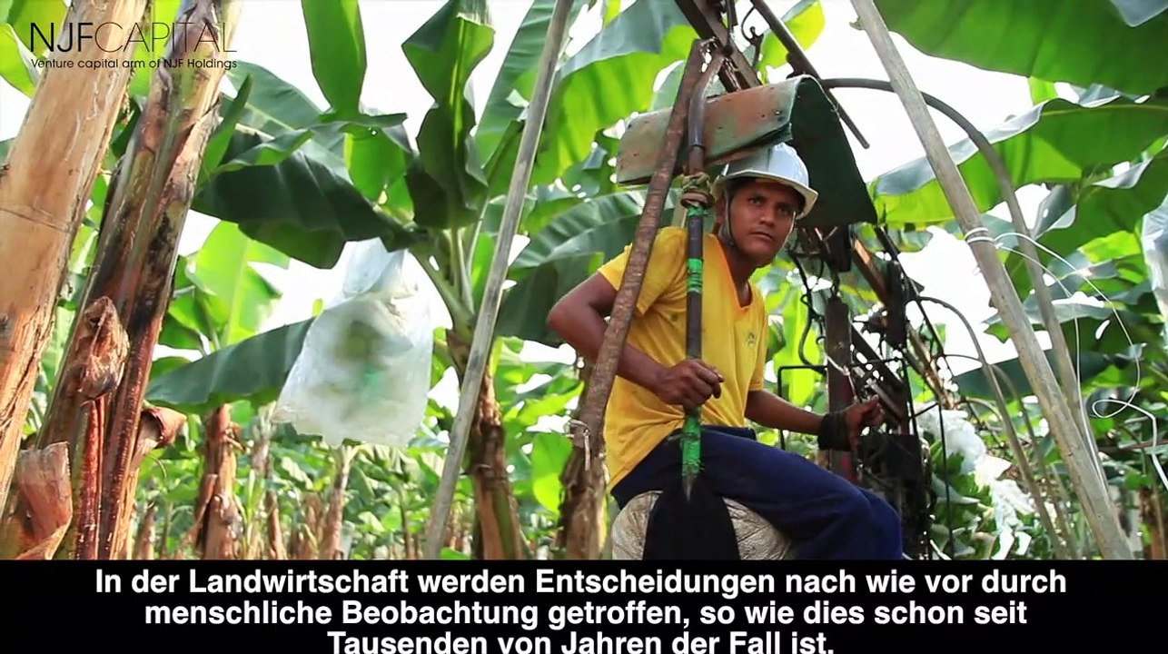 Nicole Junkermann präsentiert Swarm - eine Investition von NJF Capital