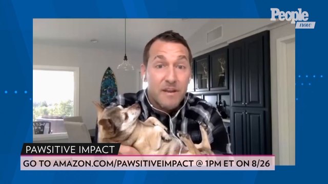 Brandon Mcmillan's Advice to Help Your Dog Cope With Separation Anxiety When You Return to Work