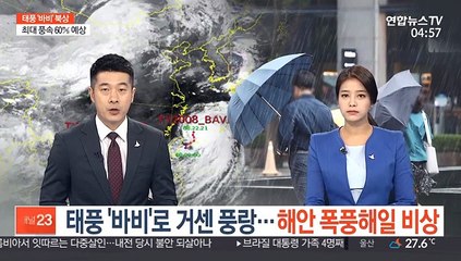 태풍 '바비'로 거센 풍랑…해안 폭풍해일 비상