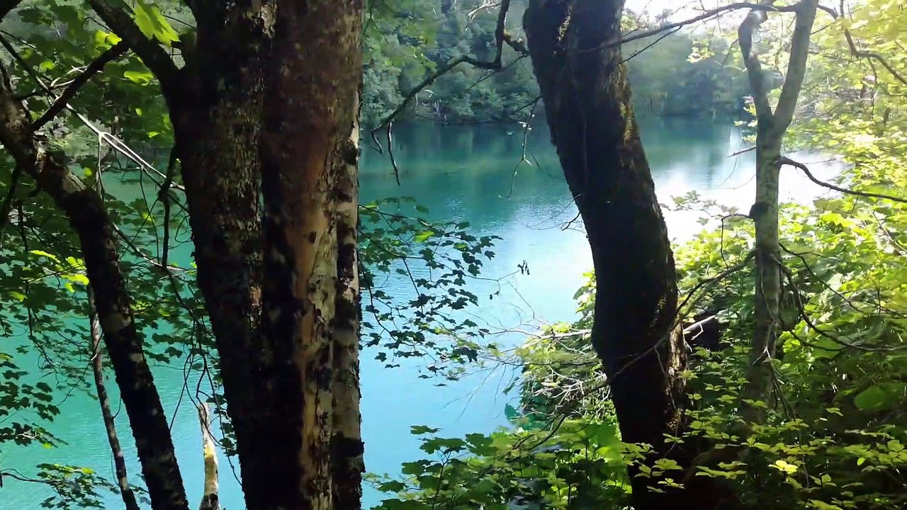 Chorwacja 2020 - Plitvice Trogir Orebic Dubrovnik