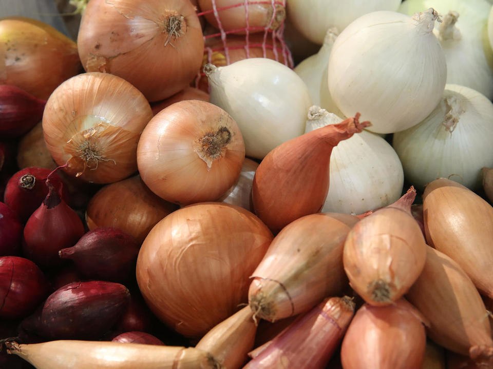 A Guide to Onions Types and When To Use Them