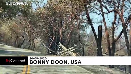 Калифорния: бокал вина на пепелище