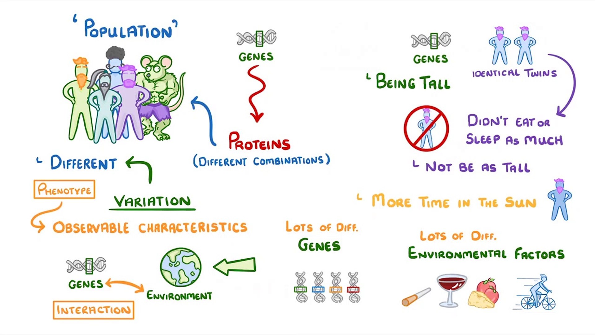 Biology - Variation and Evolution