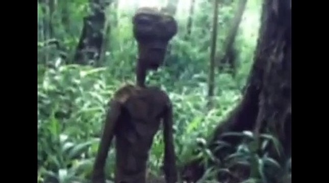 UFO Sightings Wikileaks New Alien Encounter Caught On Tape!