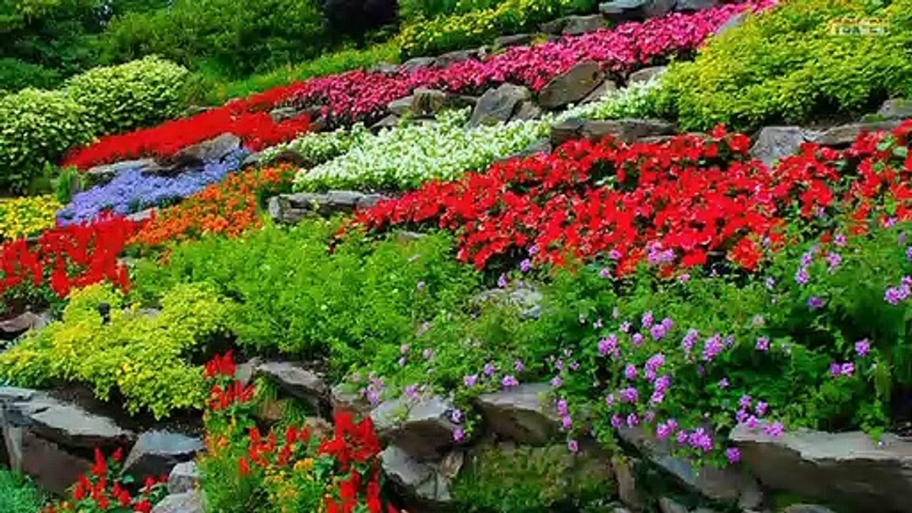 Small Garden Design Ideas