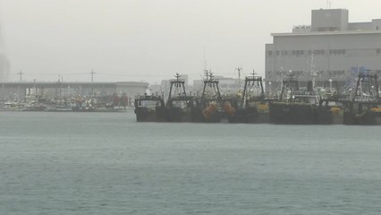 전남 해안 태풍특보...점점 세지는 비바람 / YTN