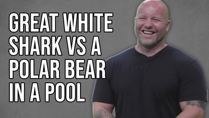 Tank Sinatra Answers the Internet