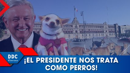 ¡El presidente nos trata como perros!