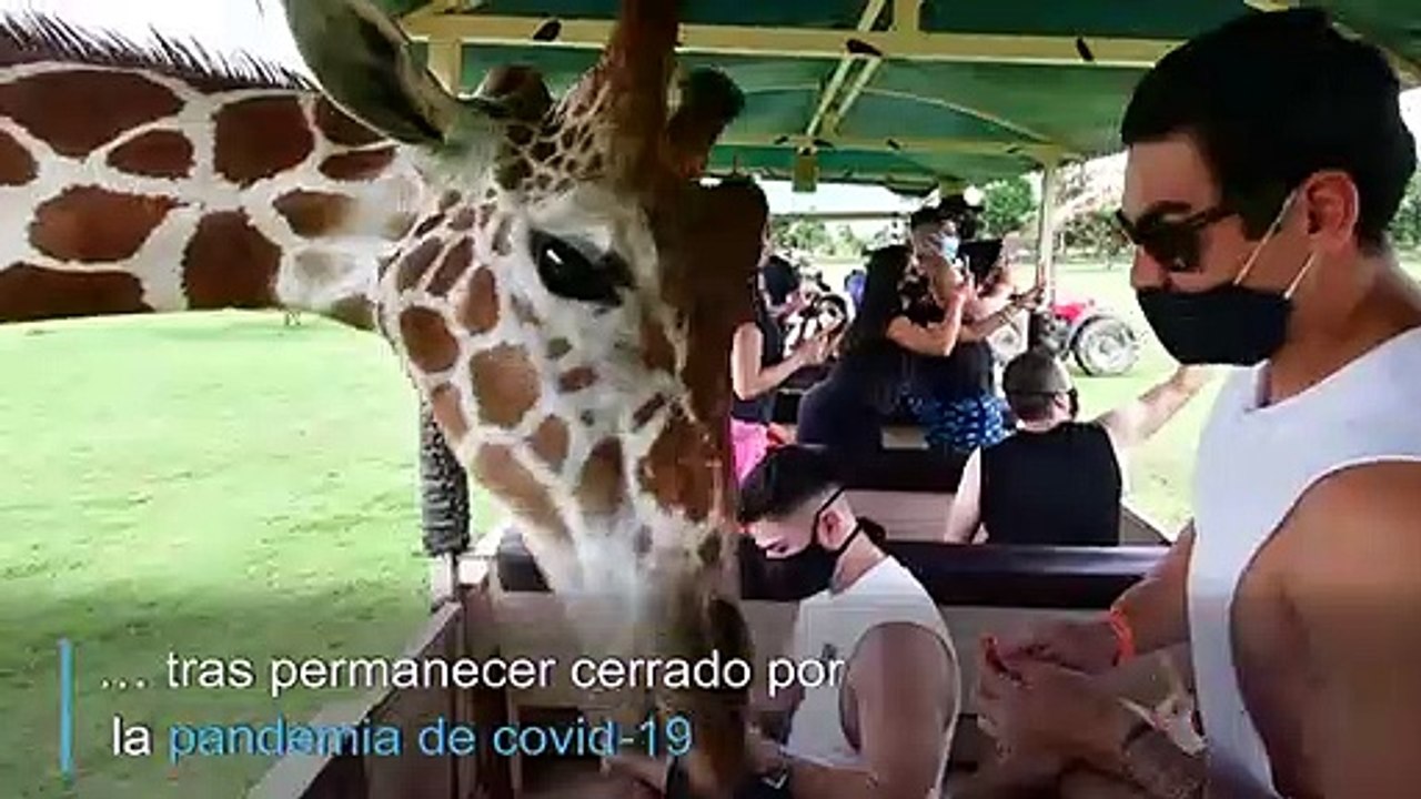 Visita a los animales en tiempos de pandemia