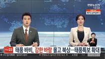 [날씨] 태풍 바비, 강한 바람 몰고 북상…태풍특보 확대