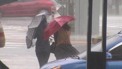 태풍 바비 오늘 저녁 수도권 영향..."걷기도 힘든 강풍" / YTN