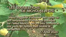 LES SUGGESTIONS DE MICHOU64 W-D.D. - 17 AOÛT 2020 - PAU - POUR SÉCURISER L'ALLÉE MÉRICI DEMANDONS L'INSTALLATION D'UN ÉCLAIRAGE