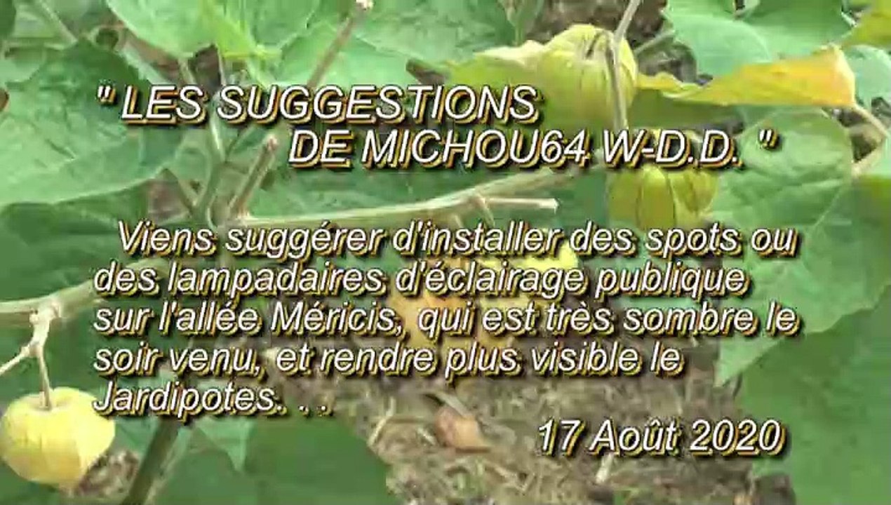 LES SUGGESTIONS DE MICHOU64 W-D.D. - 17 AOÛT 2020 - PAU - POUR SÉCURISER L'ALLÉE MÉRICI DEMANDONS L'INSTALLATION D'UN ÉCLAIRAGE