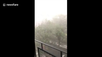 Severe thunderstorm bring strong wind, rain to New York City