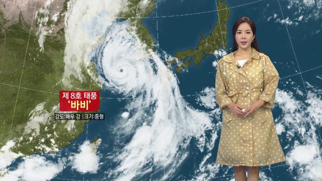 [날씨] 태풍 '바비' 제주도 근접...밤사이 서해안 따라 이동 / YTN