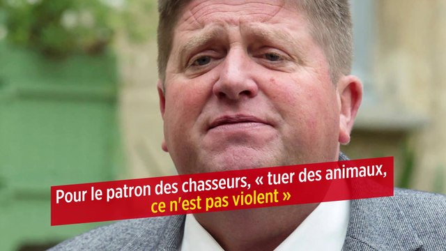 Pour le patron des chasseurs, « tuer des animaux, ce n'est pas violent »