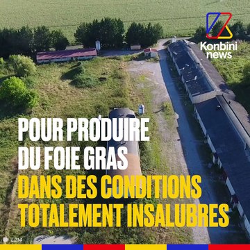 Le pire élevage jamais découvert par L214