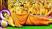 Gautam Buddha, (गौतम बुद्ध) Story in Hindi,   Siddhartha Gautama,   Biography   Life