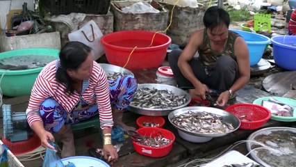 Mùa nước nổi miền Tây: Mẻ cá đồng đầu tiên | VTC16