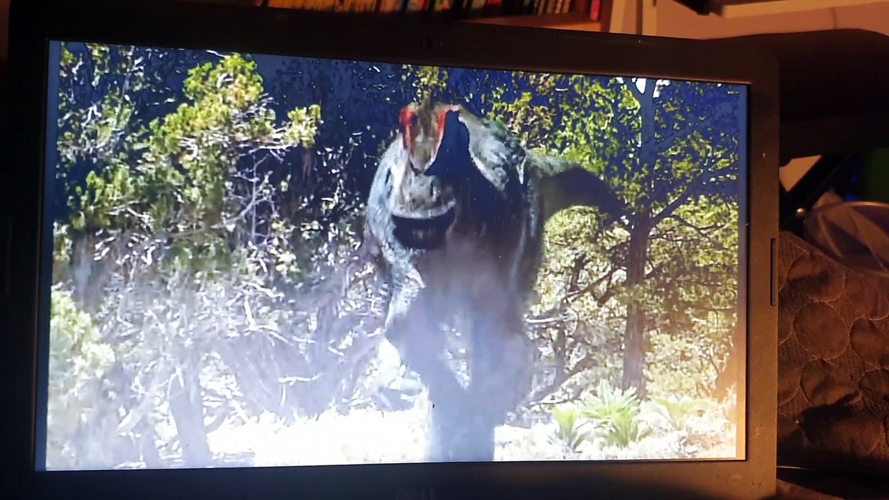Walking With Dinosaurs Big Al Goes To Trap French