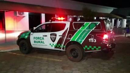 Corcel é recuperado por equipe do GPOM da Guarda Municipal no Bairro Interlagos