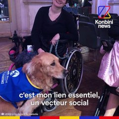 Menacée à cause de mon chien d’assistance | Le Speech de Mathilde