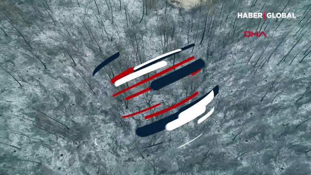 Adana'nın ciğerleri kül oldu! 280 futbol sahası büyüklüğünde alan kül oldu