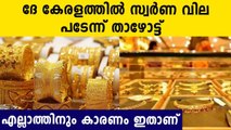 Gold Prices Fall In Kerala Today | Oneindia Malayalam