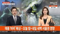 태풍 '바비' 북상…오늘 밤~내일 새벽 서울권 영향