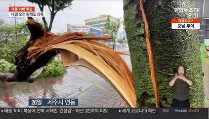 가로수 쓰러지고 외벽 무너져…역대급 강풍에 피해 속출