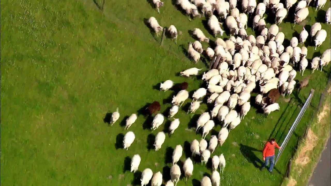 DIE NORDSEE VON OBEN Film