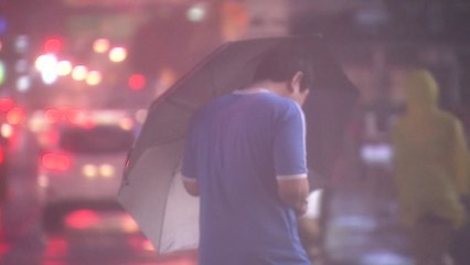 서울도 '태풍주의보'...밤사이가 태풍 최대 고비 / YTN