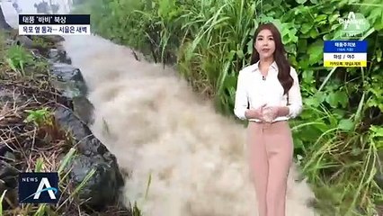 태풍 ‘바비’ 현재 위치…지역별 최근접 시간은?