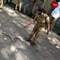 Kerala Forest Dept trains its officers on how to scientifically rescue snakes