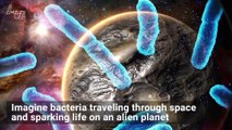 Thick Clumps of Bacteria Could Survive Travel from Earth to Mars