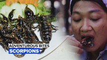 Adventurous Bites: Interested in a mouth full of scorpions?