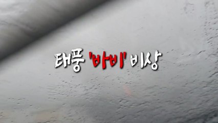 [영상] 태풍 '바비' 비상 / YTN