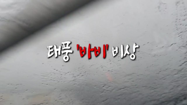 [영상] 태풍 '바비' 비상 / YTN