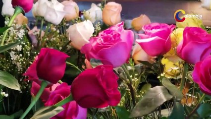 Colombia- país que exporta las más hermosas flores - Top 5