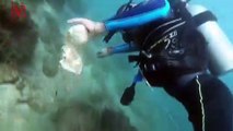 Israeli Paraplegic Diver Dons Wet Suit To Clean up Sea From Trash & Debris