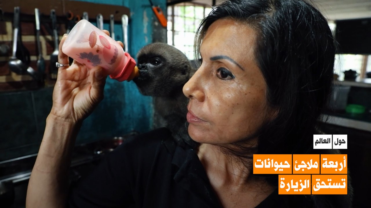 أربعة ملاجئ حيوانات تستحق الزيارة