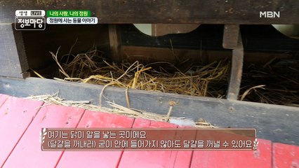 정원에 사는 동물 이야기