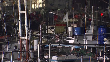 인천 점차 바람 강해져...내일 새벽 4시, 태풍 최근접 / YTN