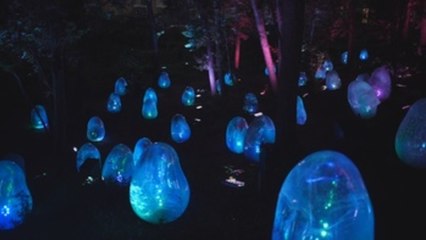 TeamLab transforma un parque boscoso al oeste de Tokio en obra interactiva