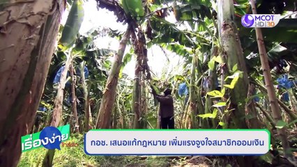 กอช. เสนอแก้กฎหมาย เพิ่มแรงจูงใจสมาชิกออมเงิน (26 ส.ค.63) เรื่องง่ายใกล้ตัว | 9 MCOT HD
