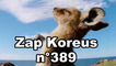 Zap Koreus n°389
