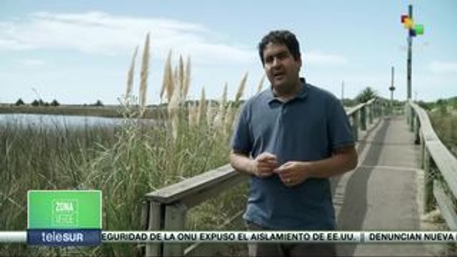 Zona Verde: Agricultures Kenianos producen biogas con estiércol