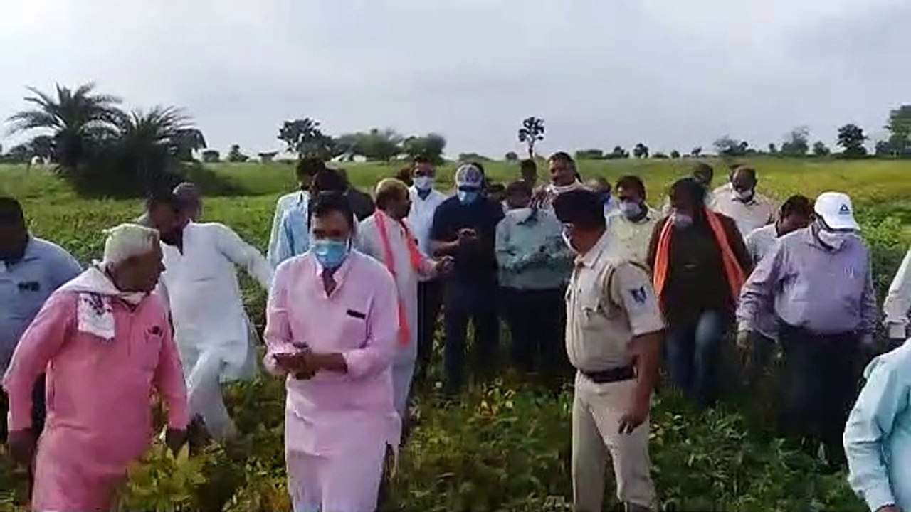 कलेक्टर आशीष सिंह ने खेतों में जाकर किया फसल का निरीक्षण, 31 अगस्त तक फसल बीमा करवाने की अपील