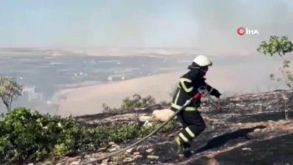 Şanlıurfa’da orman yangını büyümeden kontrol altına alındı