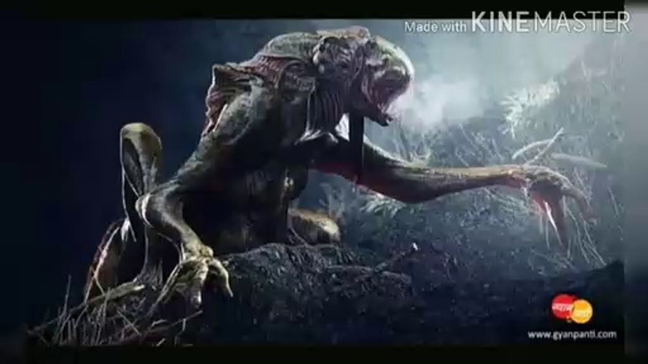 Top 5 mysterious animals in the world